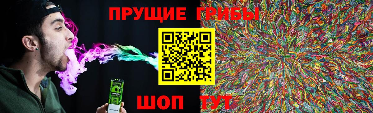 Псилоцибиновые грибы мухоморы Новошахтинск