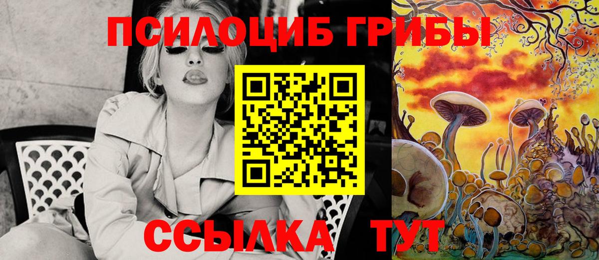 Новошахтинск  Псилоцибиновые грибы MAGIC MUSHROOMS  Вход с VPN 